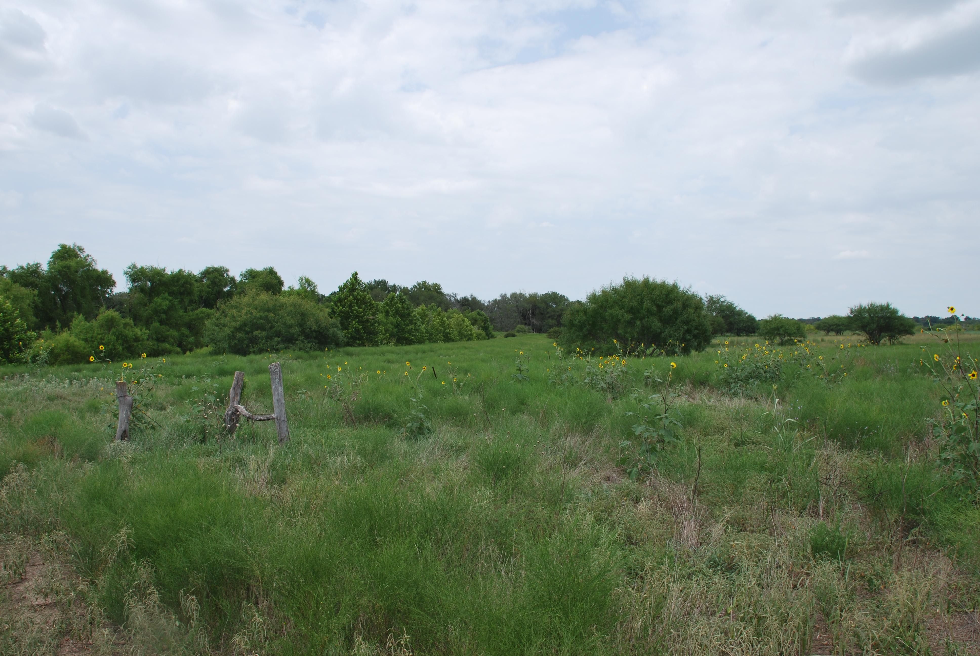 39 acres in Fayette County, Texas