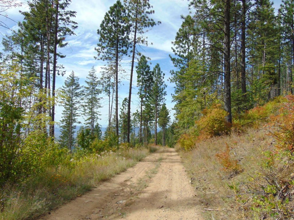 80 acres in Kootenai County, Idaho