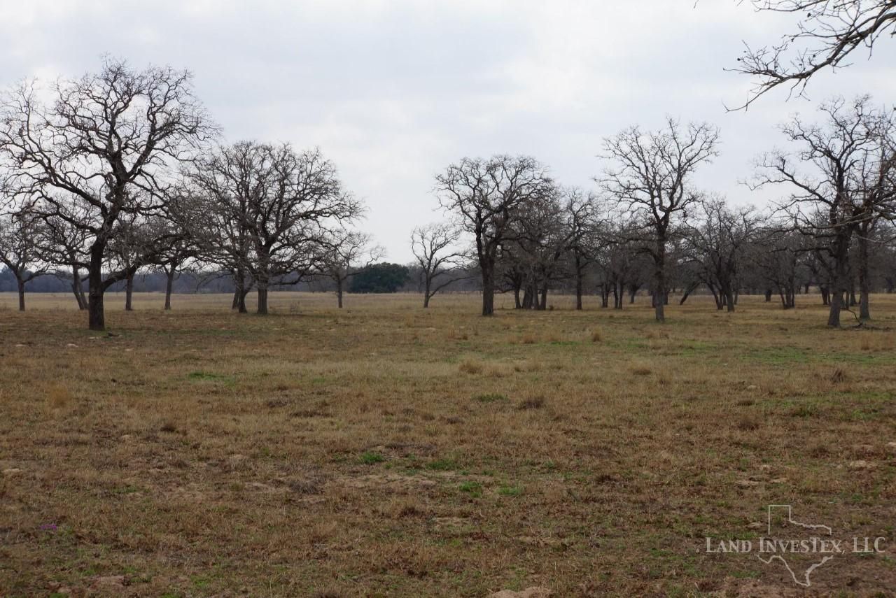 700 acres in Wilson County, Texas