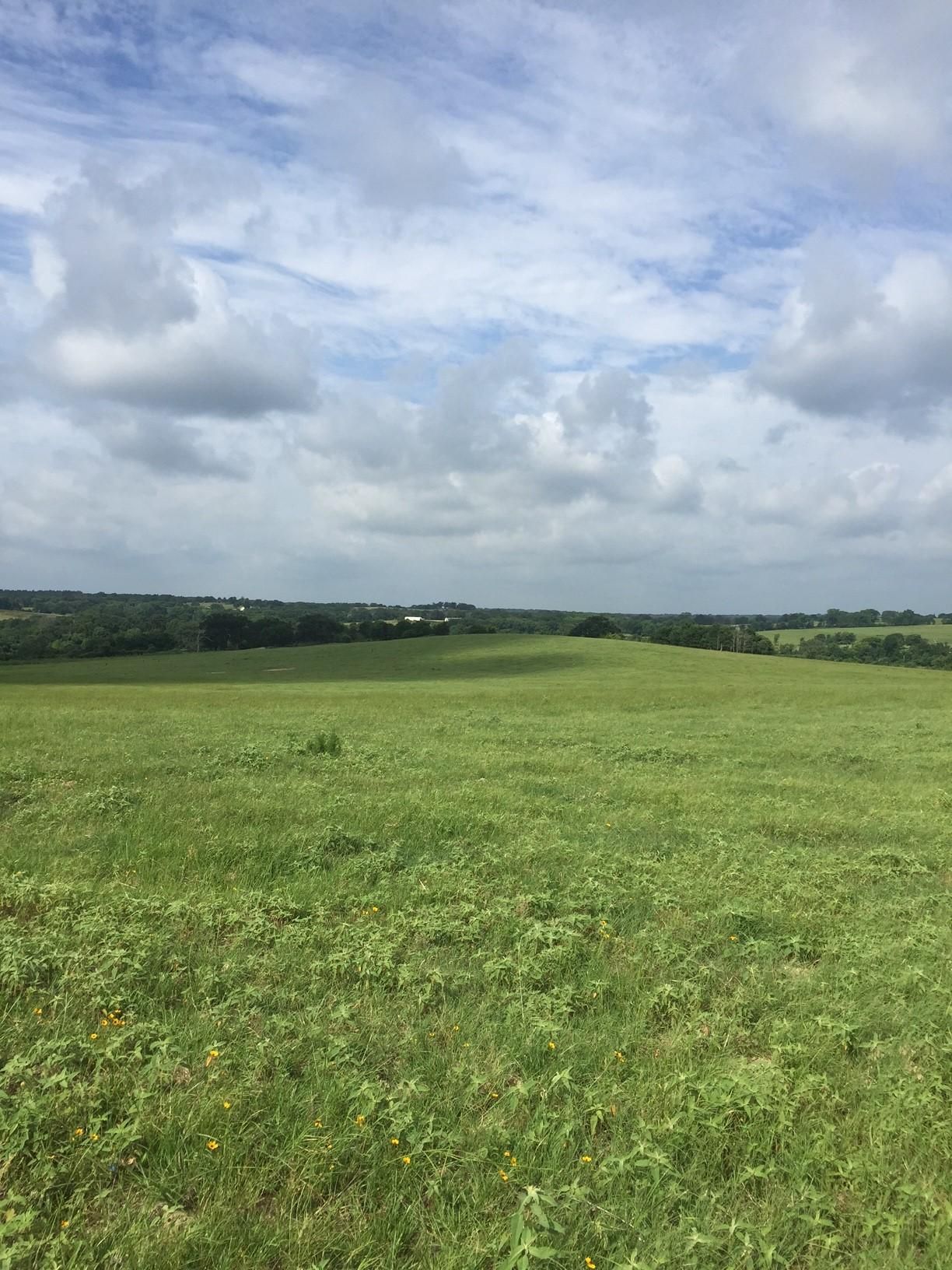 477 acres in Freestone County, Texas