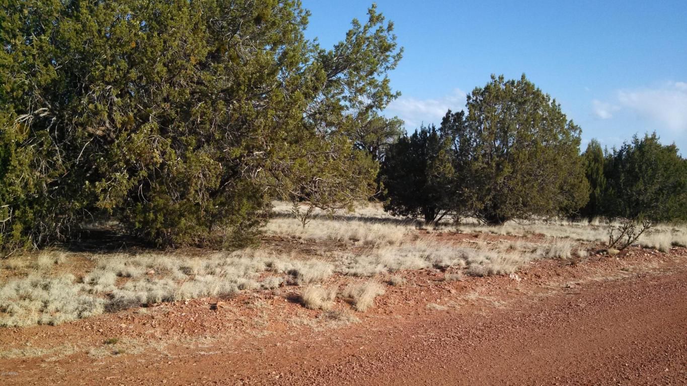 40 acres in Yavapai County, Arizona
