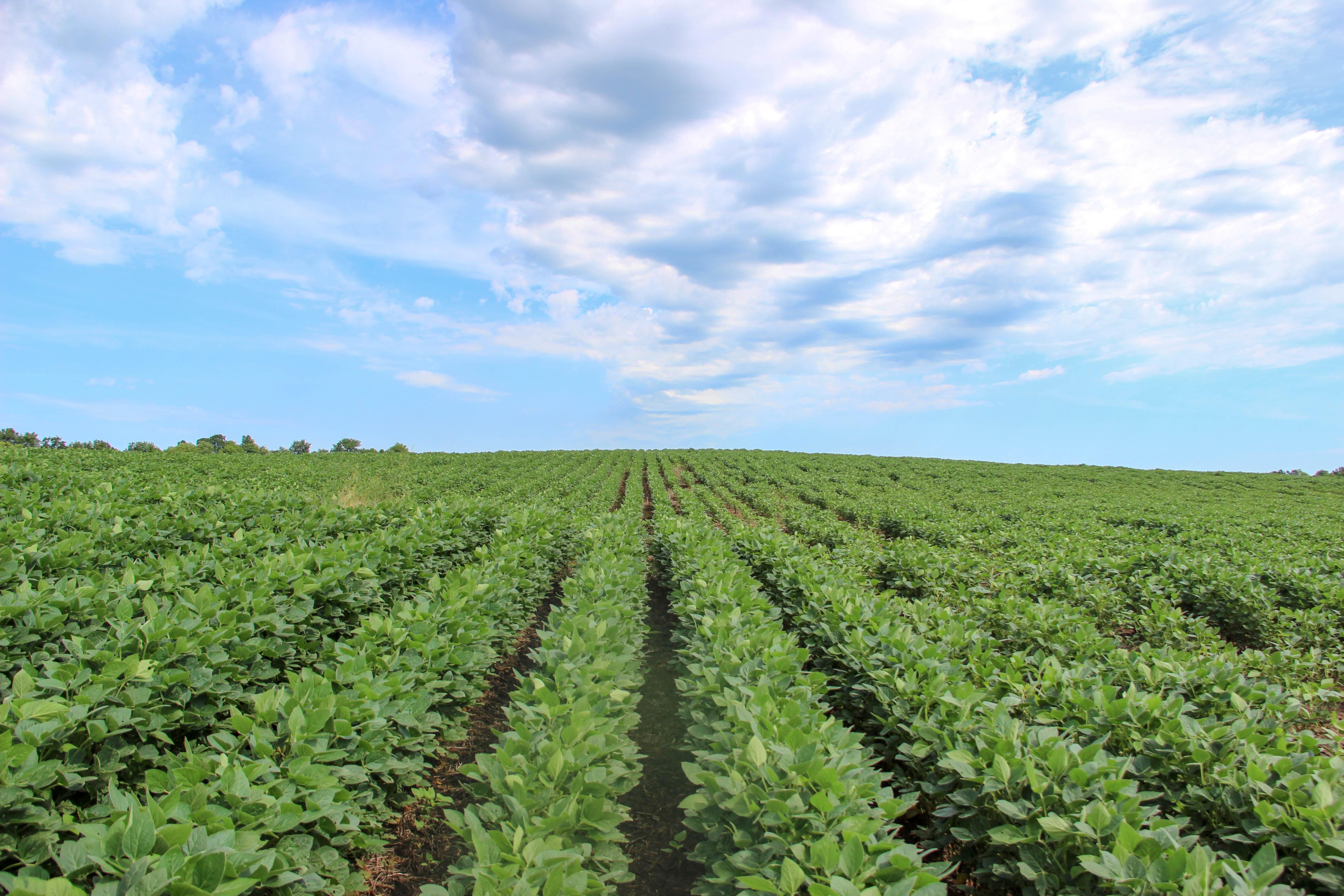 70 acres in Gentry County, Missouri