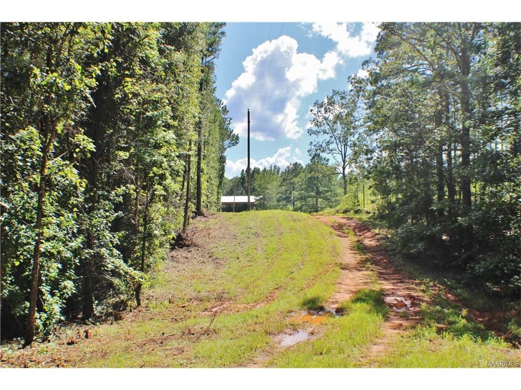 40 acres in Coosa County, Alabama