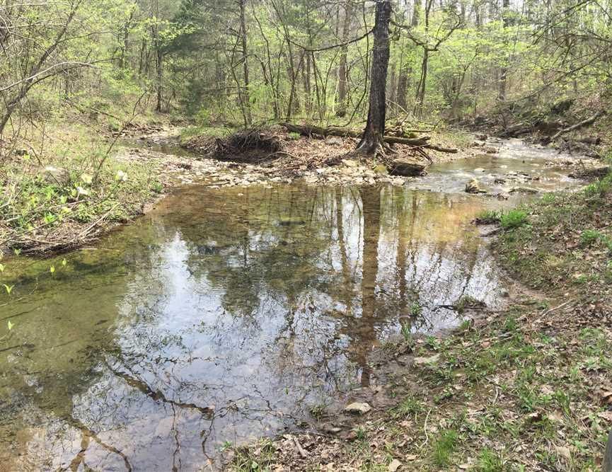 40 acres in Newton County, Arkansas