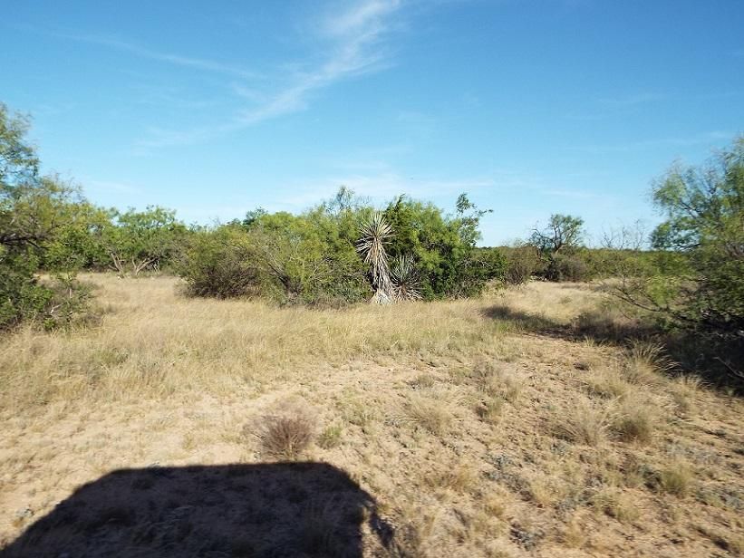 60 acres in McCulloch County, Texas