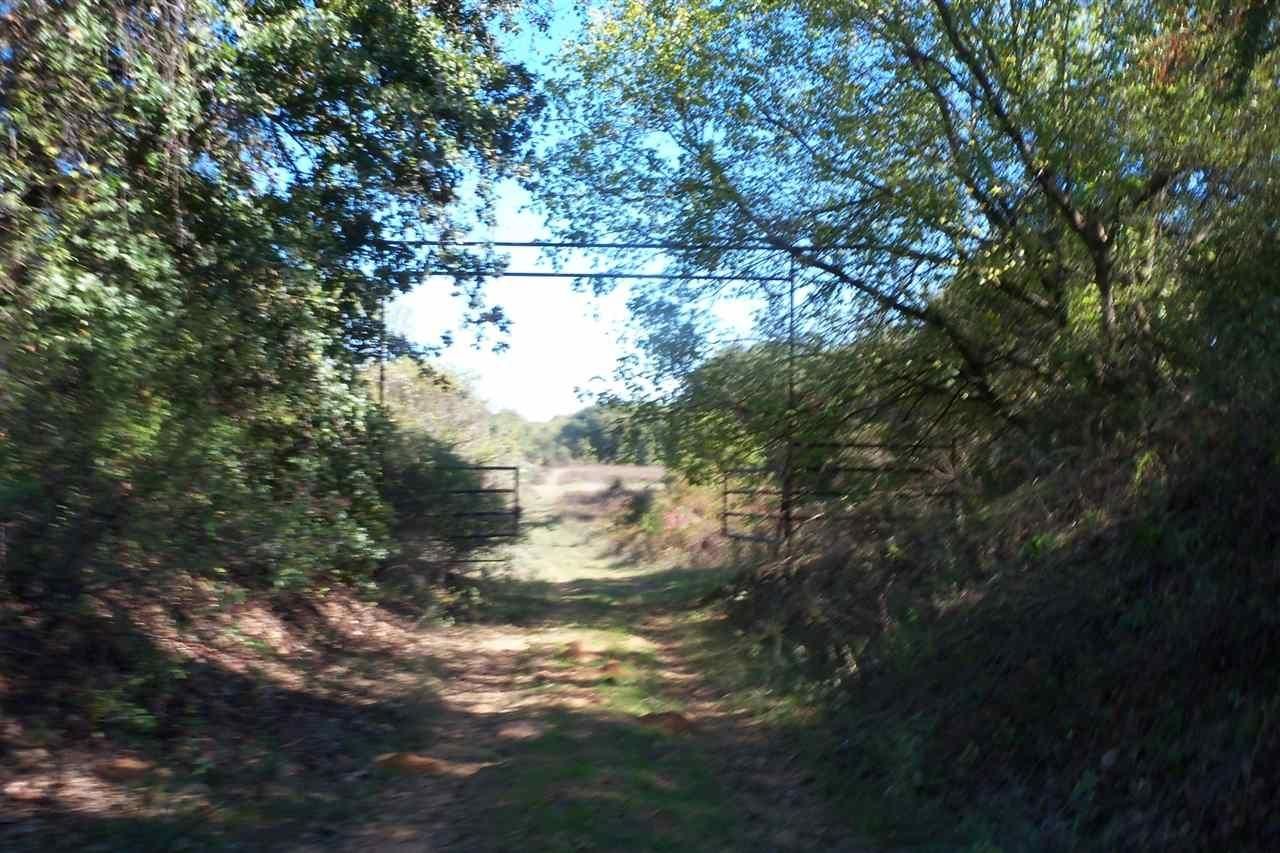 40 acres in Love County, Oklahoma