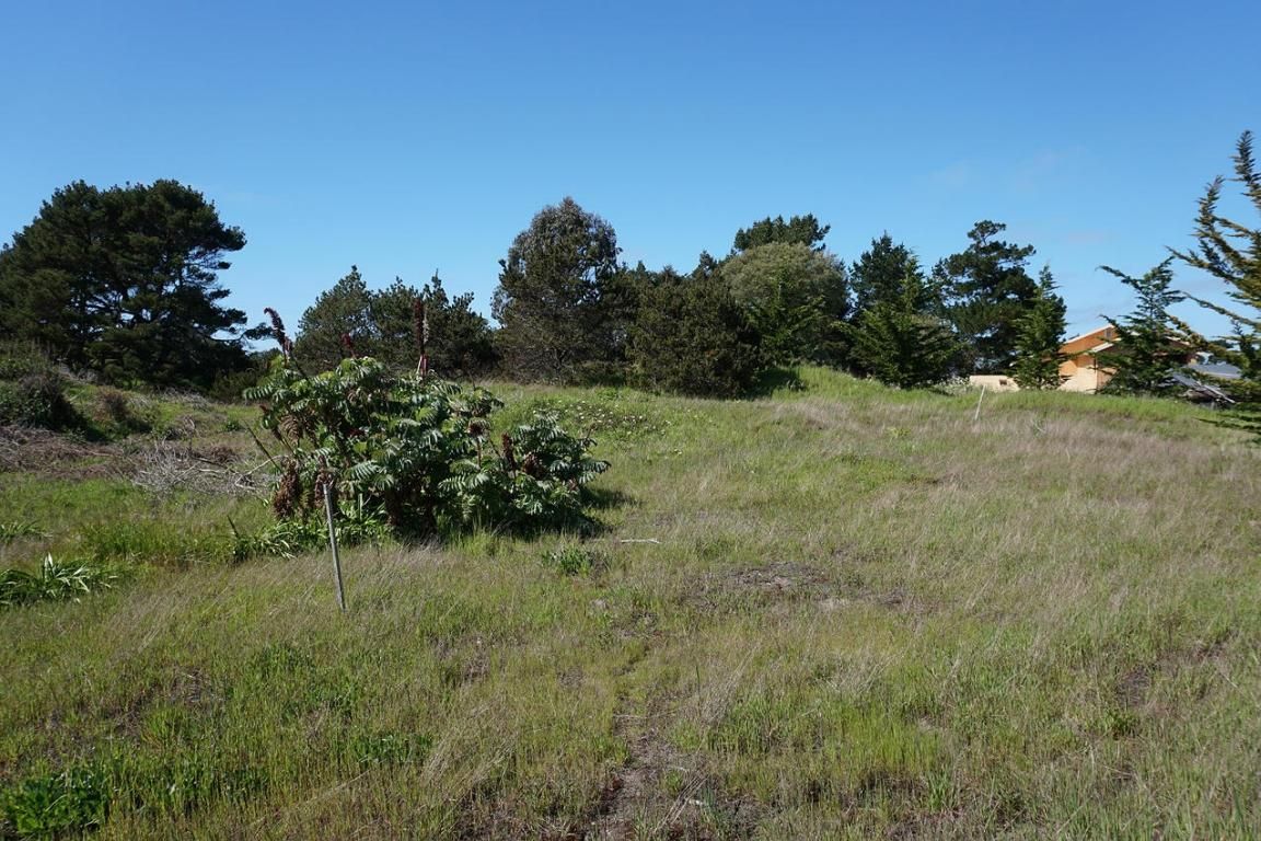 8.4 acres in Humboldt County, California