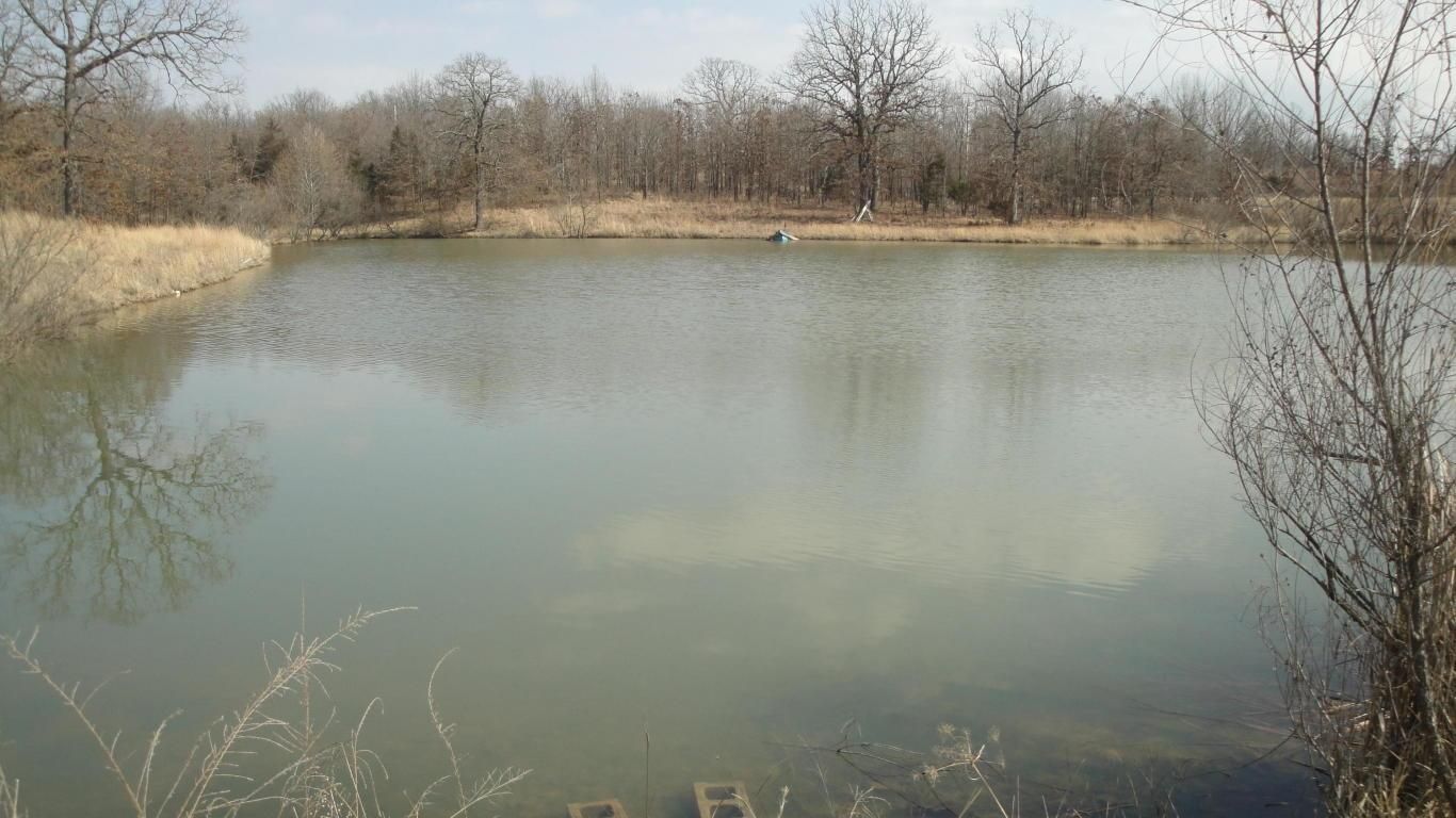 40 acres in Hickory County, Missouri