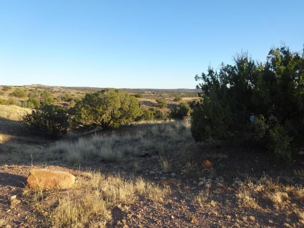 40 acres in Apache County, Arizona