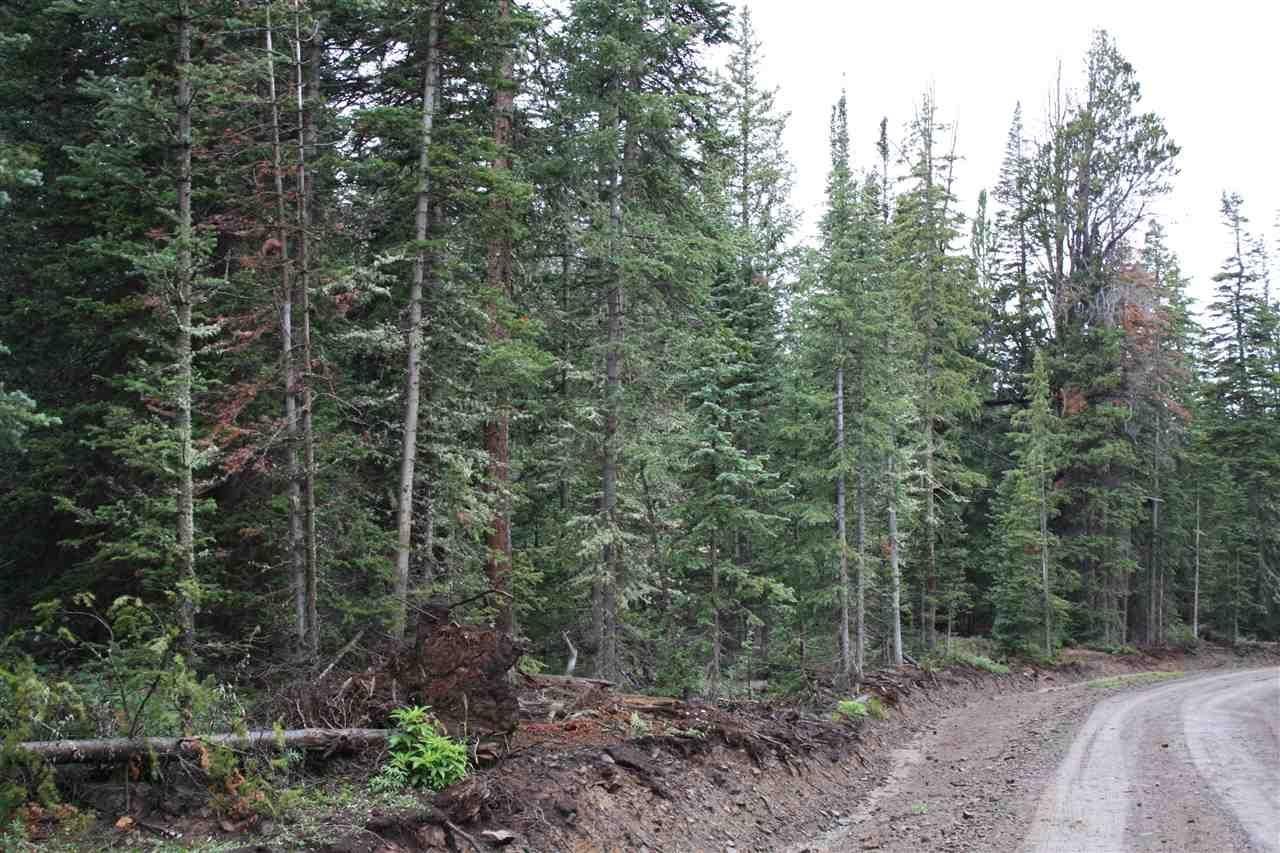 3.76 acres in Gunnison County, Colorado