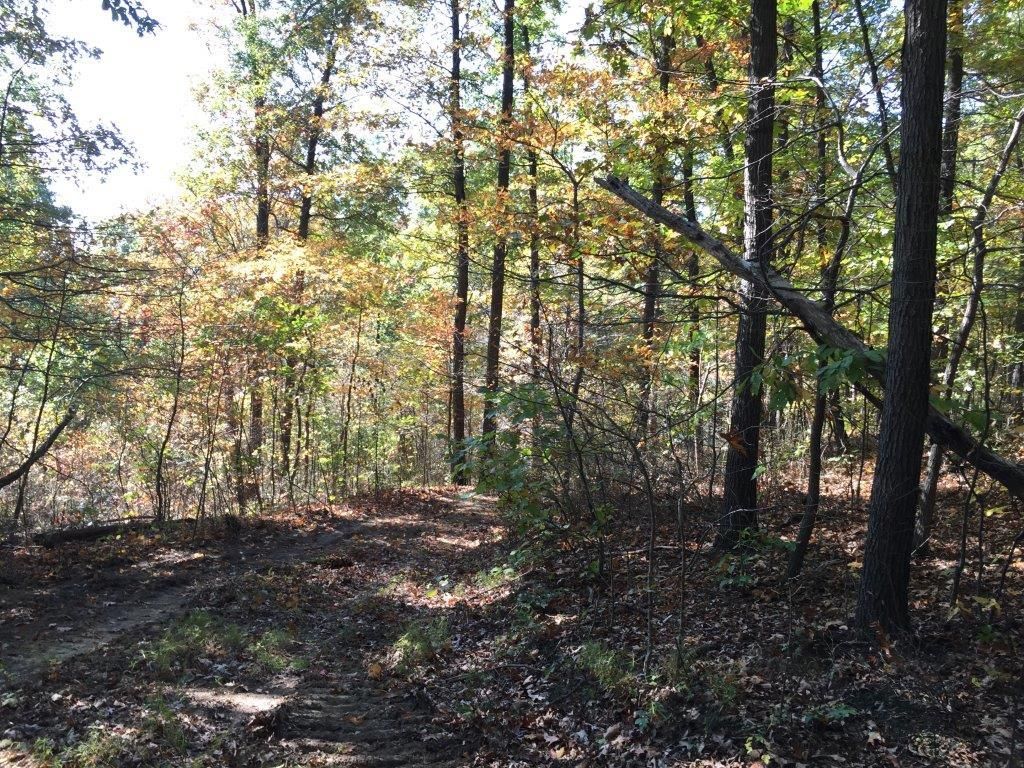 48 acres in Jefferson County, Ohio