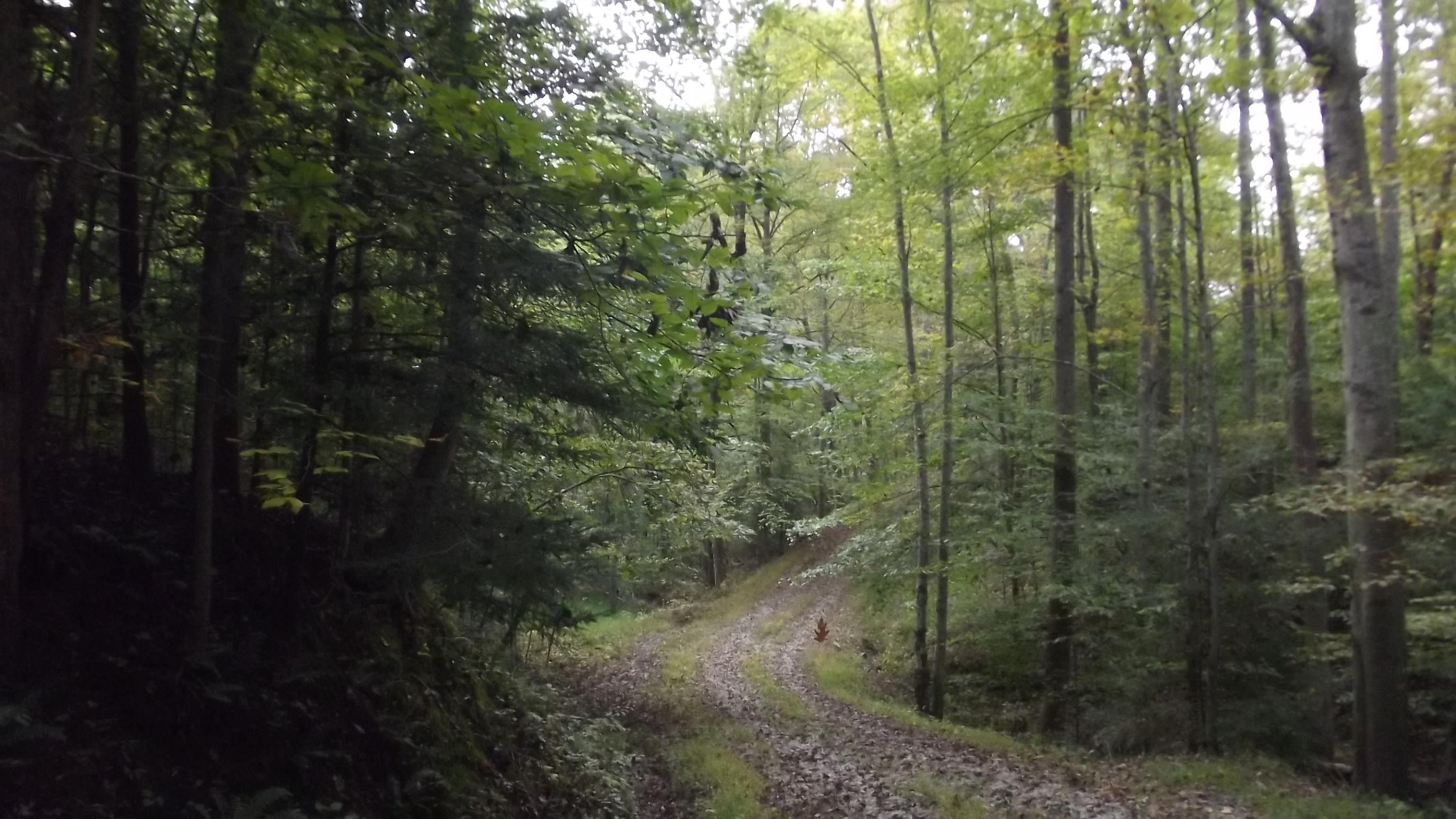 180 acres in Elliott County, Kentucky