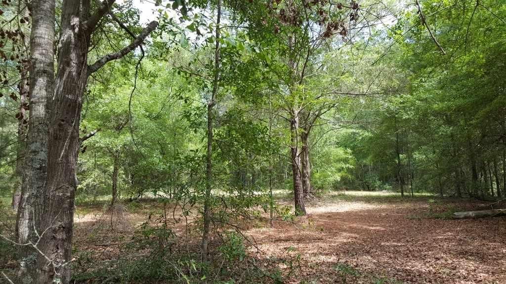 8 acres in Madison County, Florida
