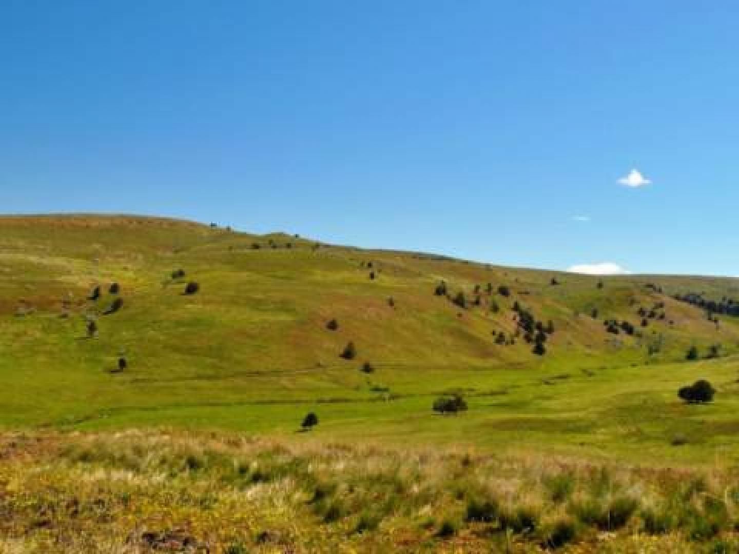2,780 acres in Wheeler County, Oregon