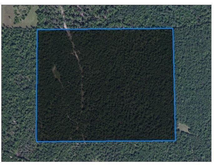 40 acres in Greene County, Mississippi