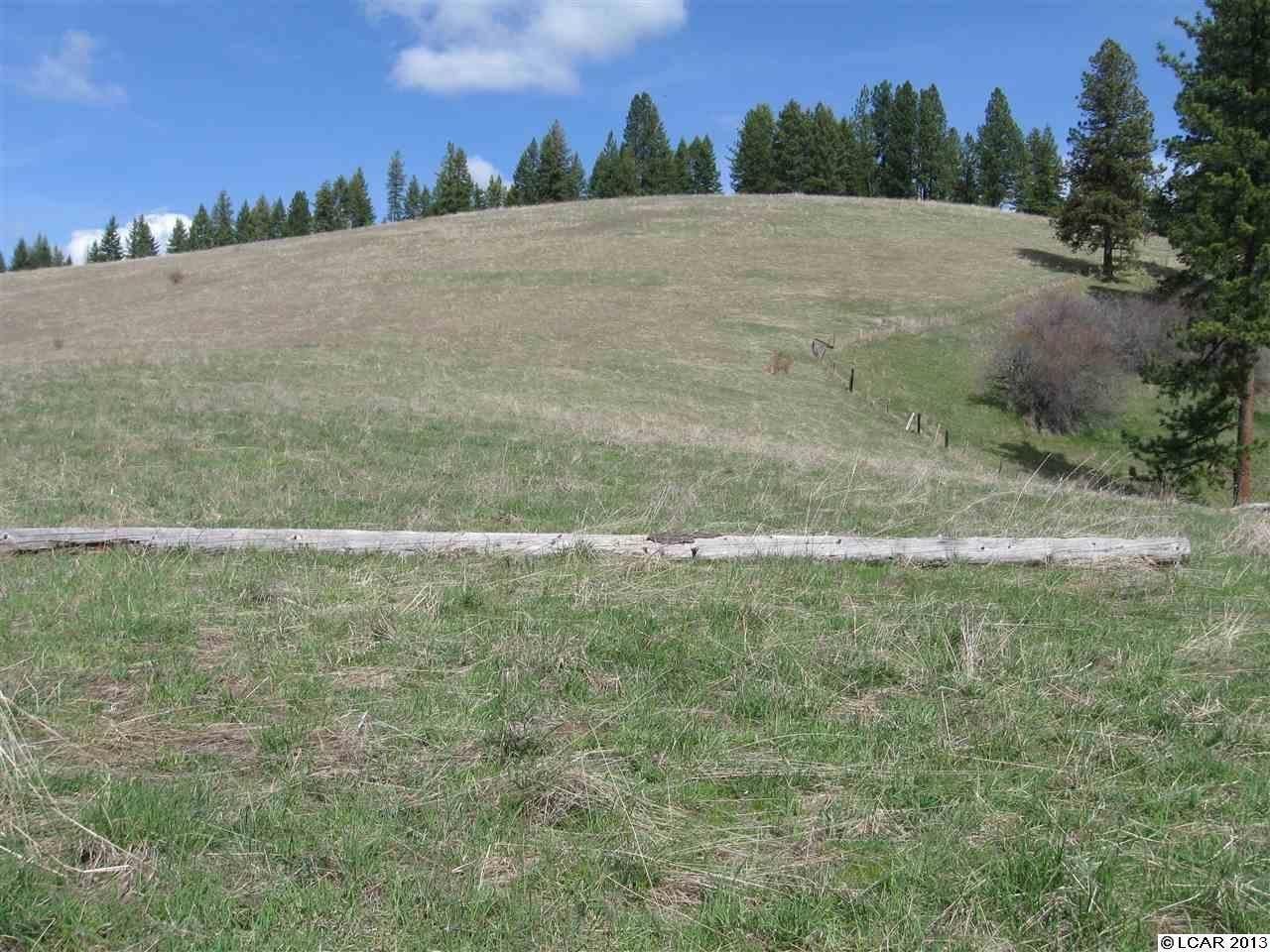 39.3 acres in Lewis County, Idaho