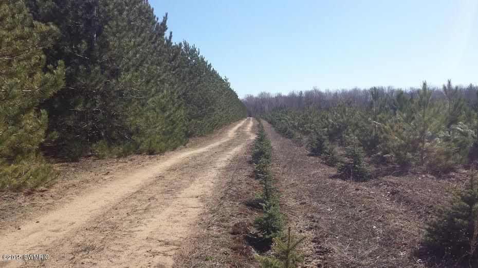 60 acres in Newaygo County, Michigan