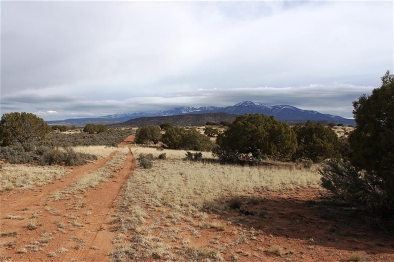 40 acres in Grand County, Utah