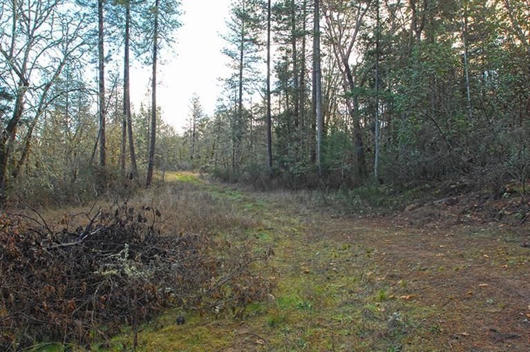 5 acres in Josephine County, Oregon