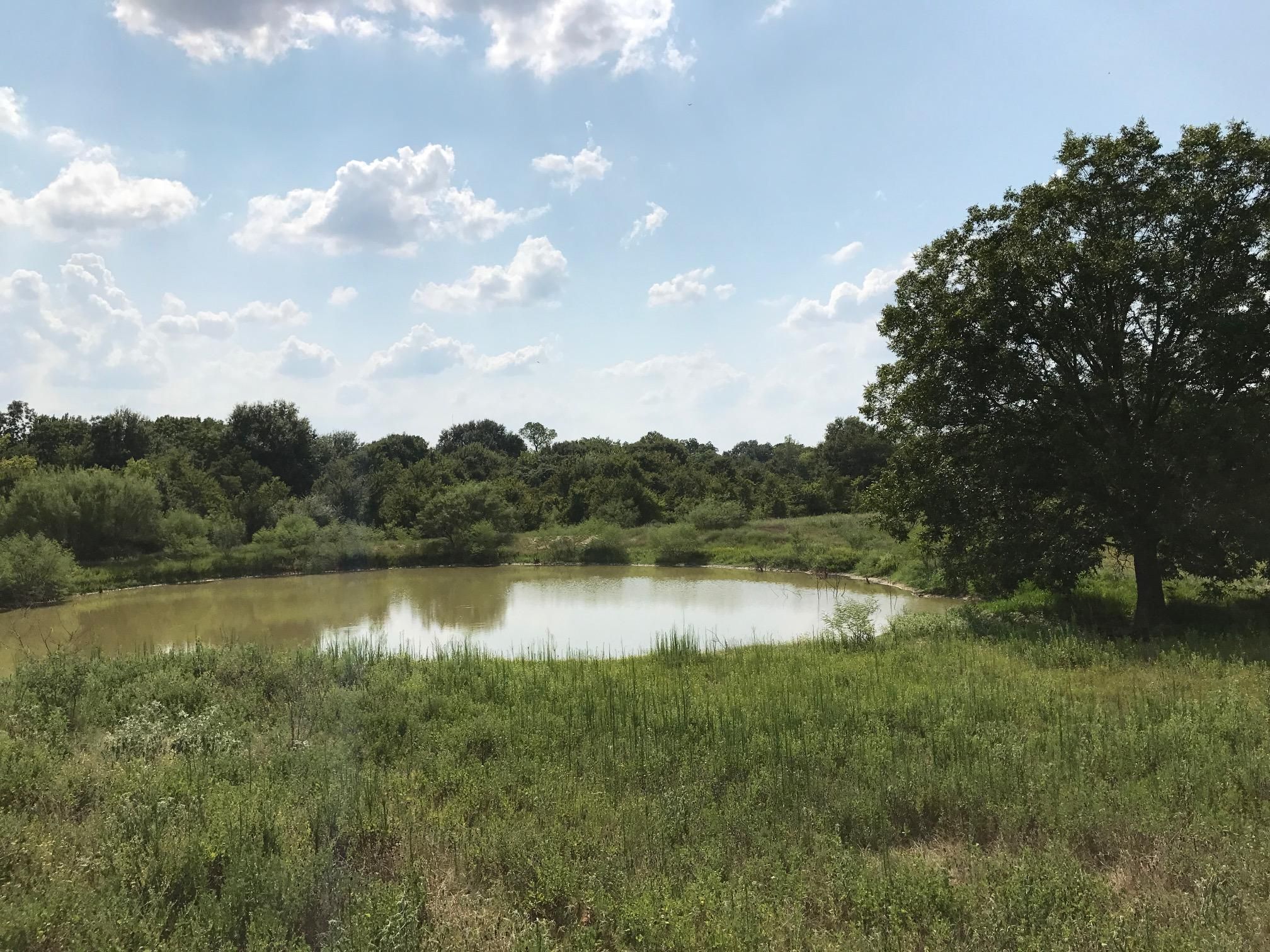 31 acres in Robertson County, Texas