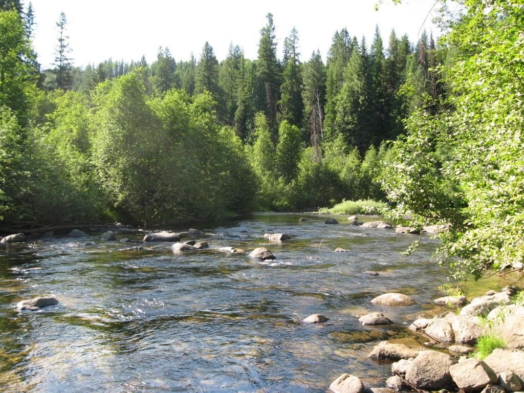 20 acres in Stevens County, Washington