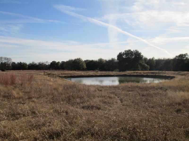 50 acres in Milam County, Texas