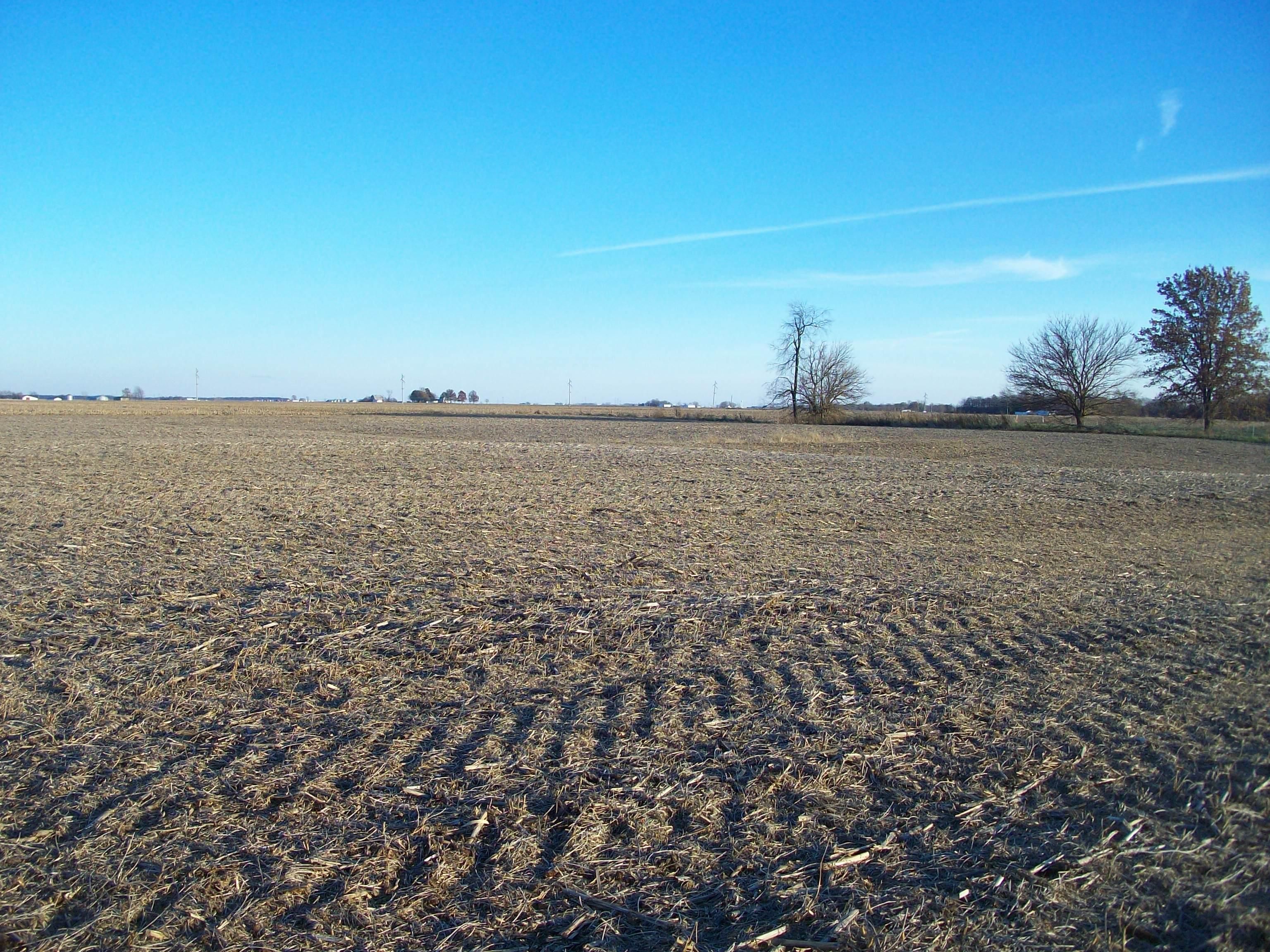 40 acres in Cass County, Illinois
