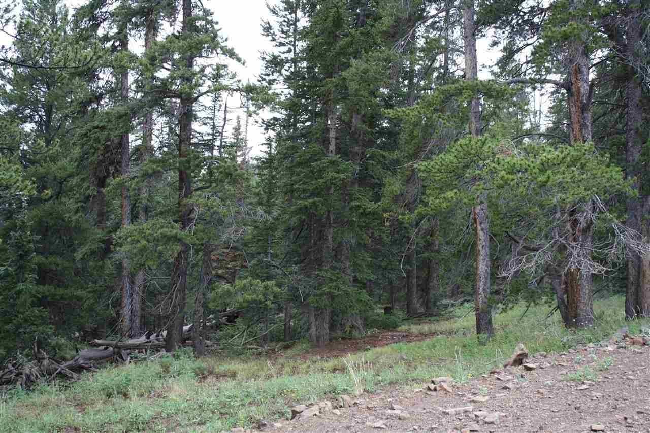 3.76 acres in Gunnison County, Colorado
