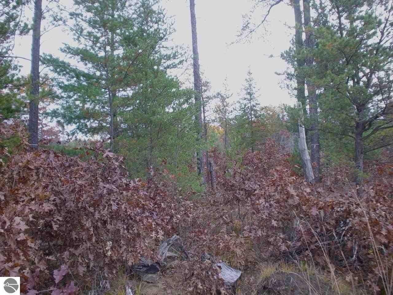 20 acres in Ogemaw County, Michigan