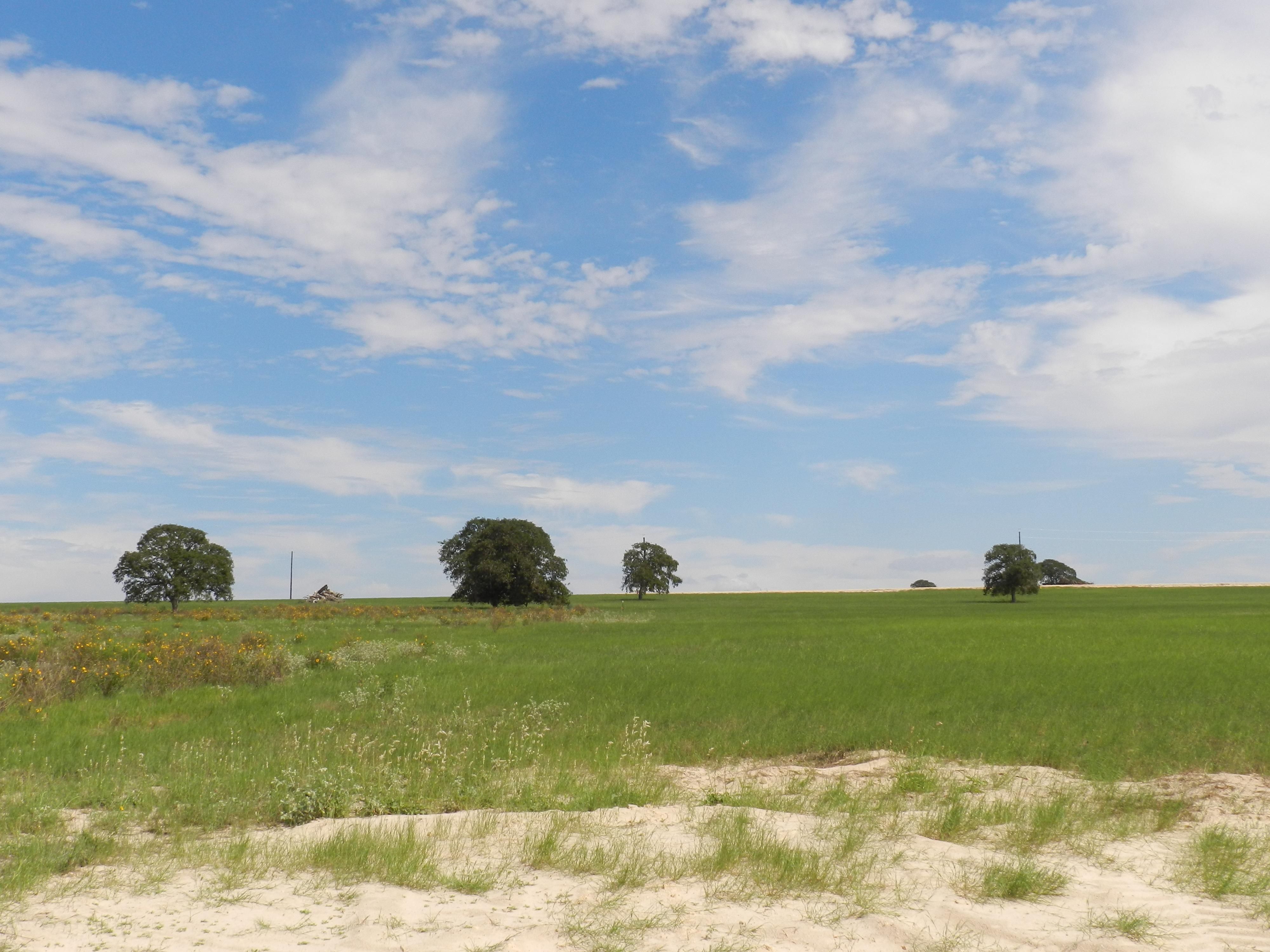 3.04 acres in Wilson County, Texas