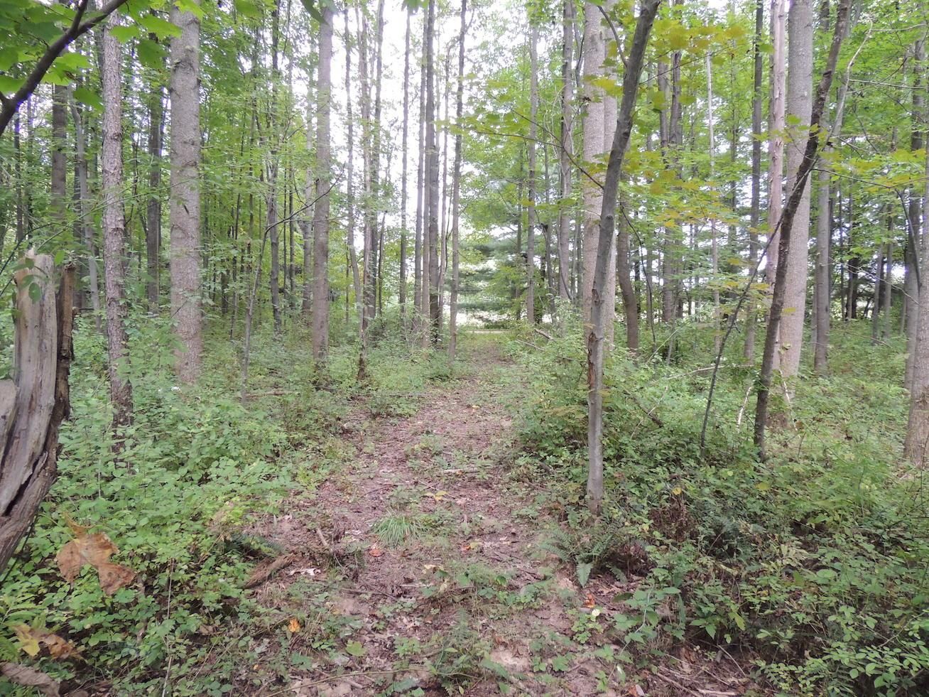 10 acres in Guernsey County, Ohio