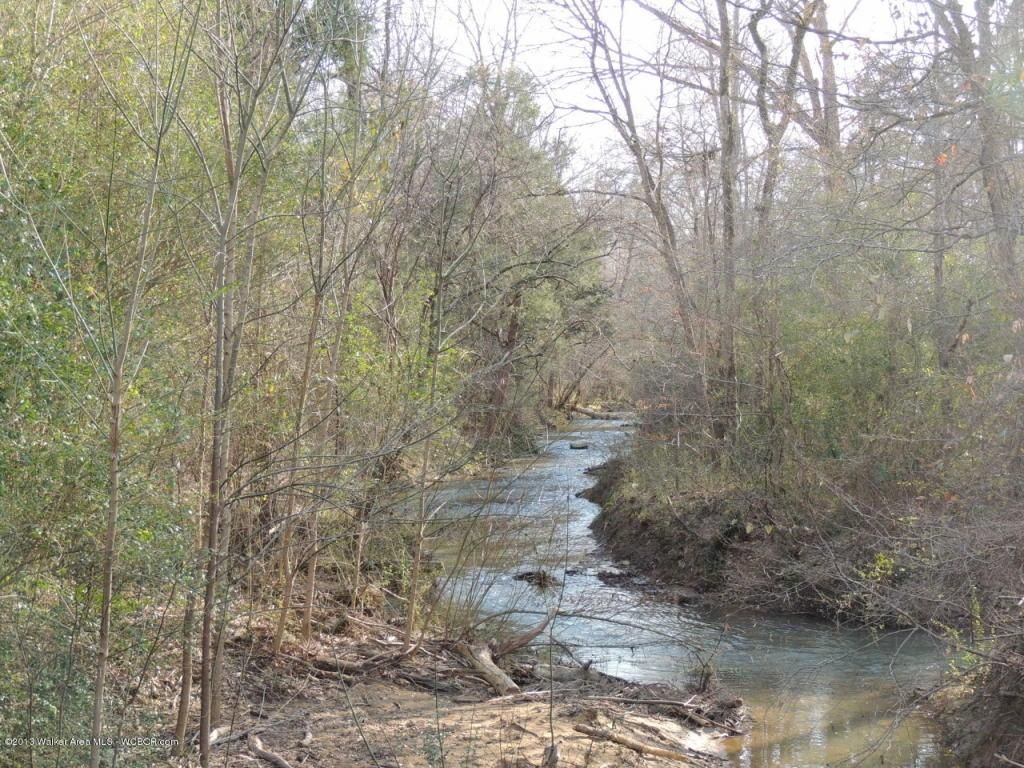 40 acres in Walker County, Alabama