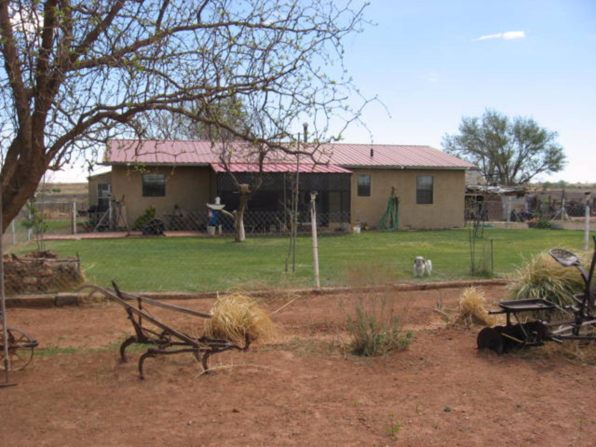 20 acres in Quay County, New Mexico