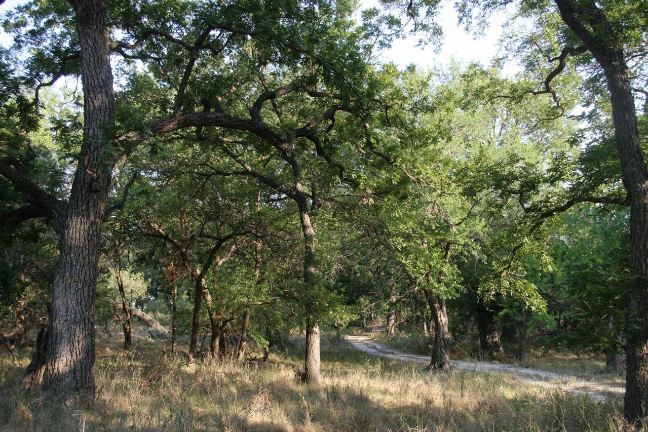70 acres in Tom Green County, Texas
