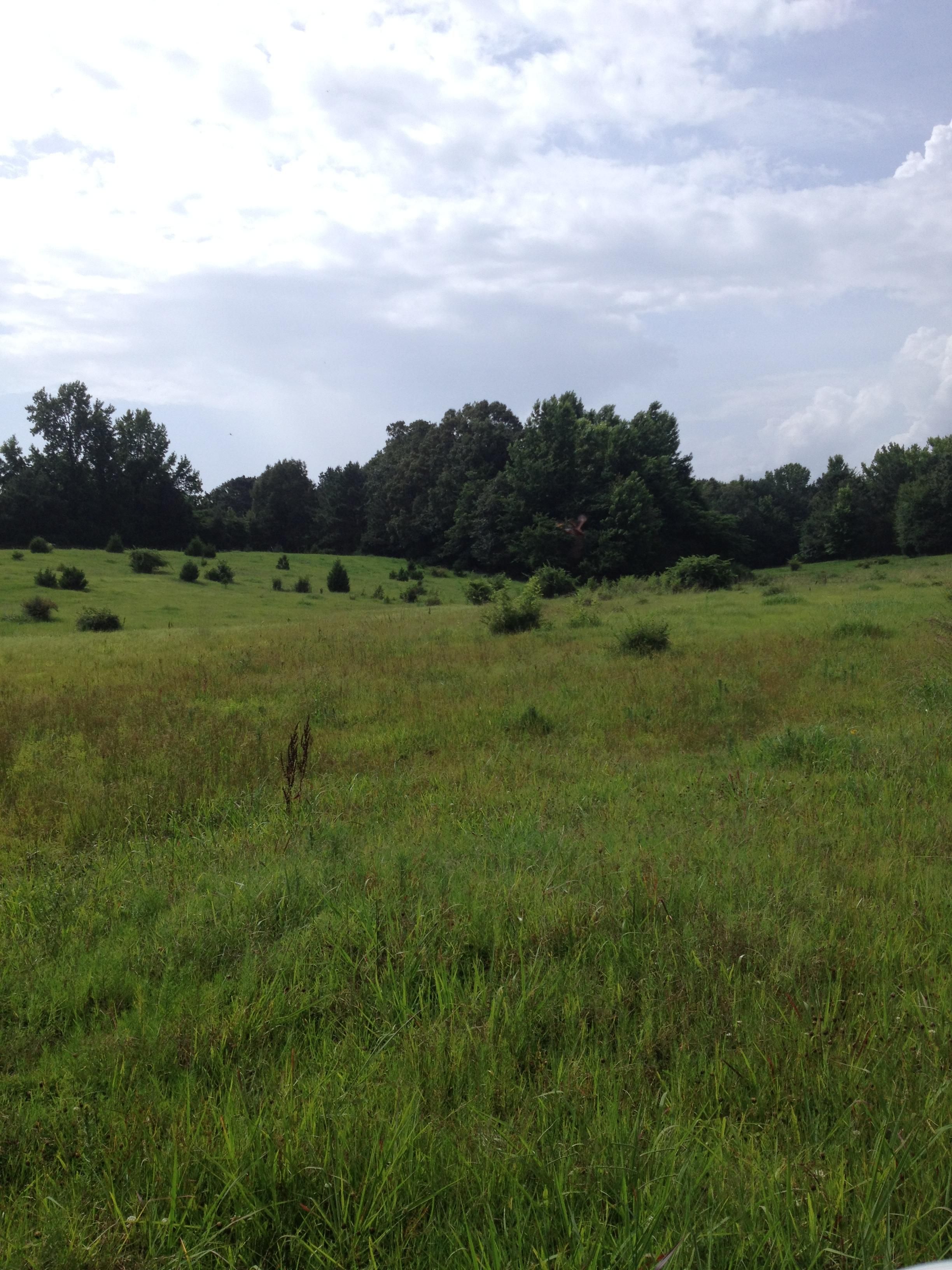 77 acres in Panola County, Mississippi