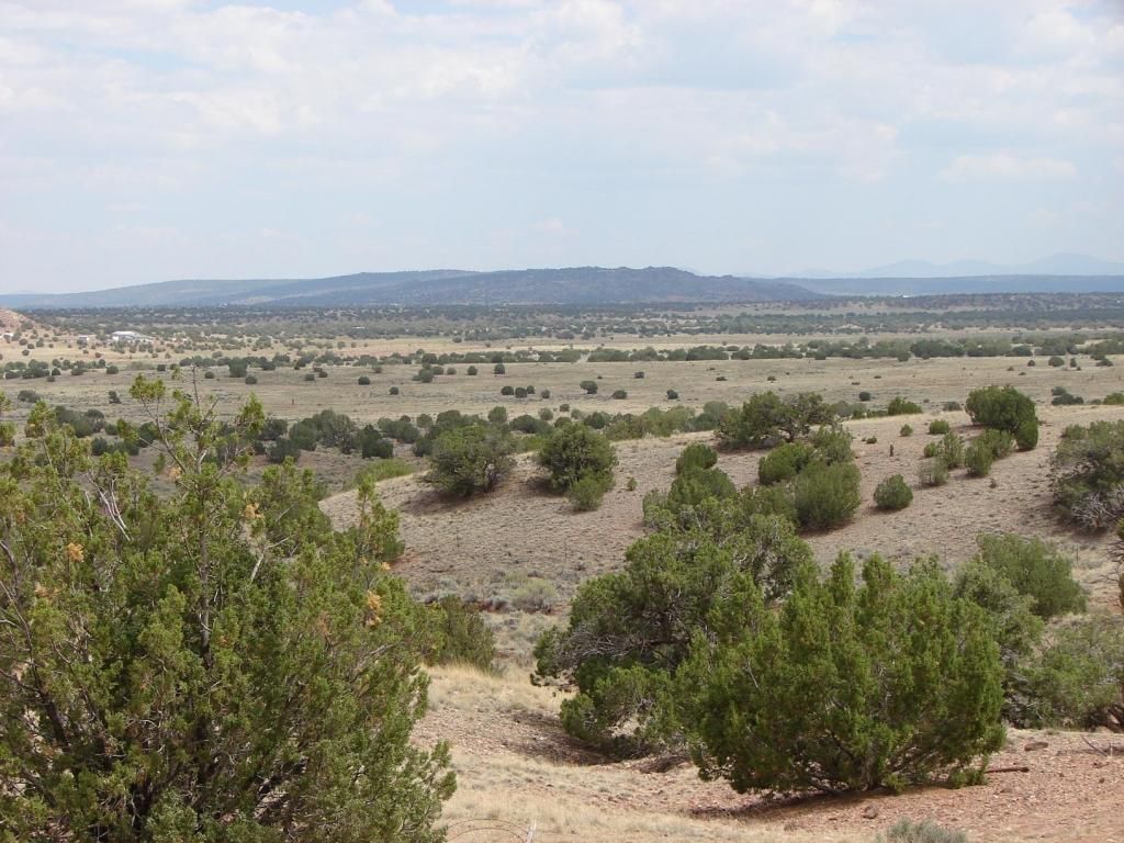 40 acres in Apache County, Arizona