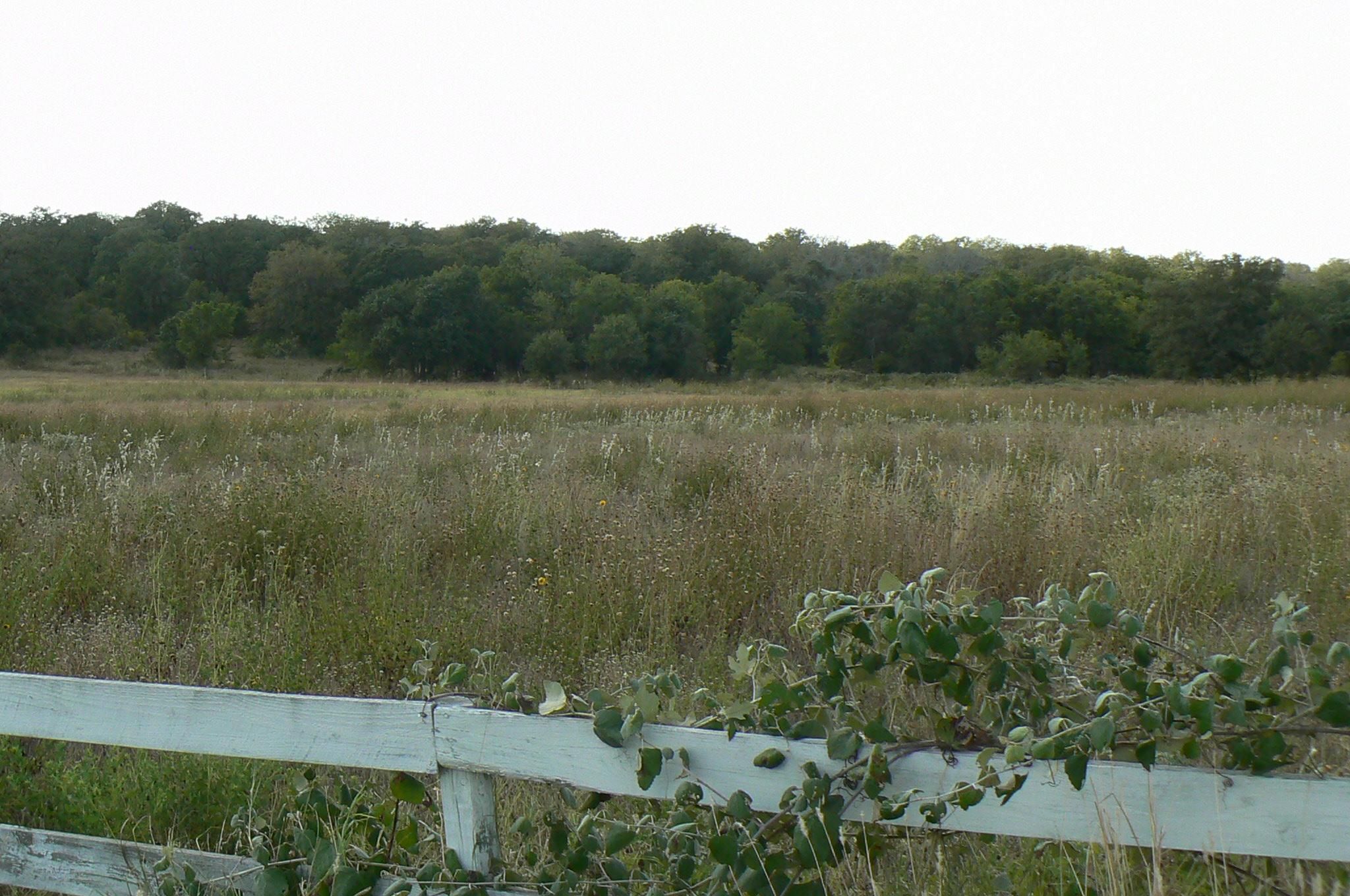 5 acres in Wilson County, Texas