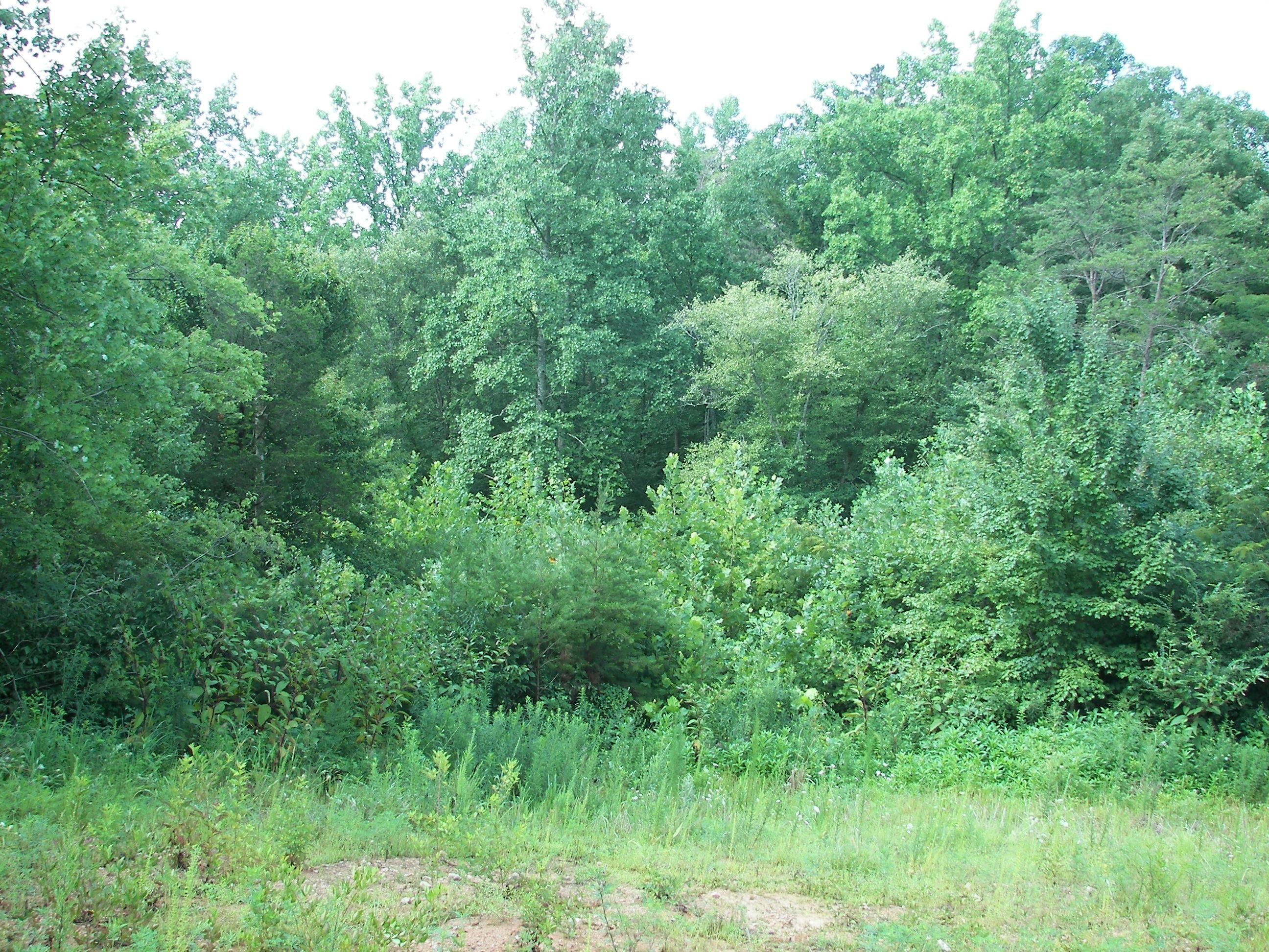 8455 Spainhour Mill, Tobaccoville, NC 27050