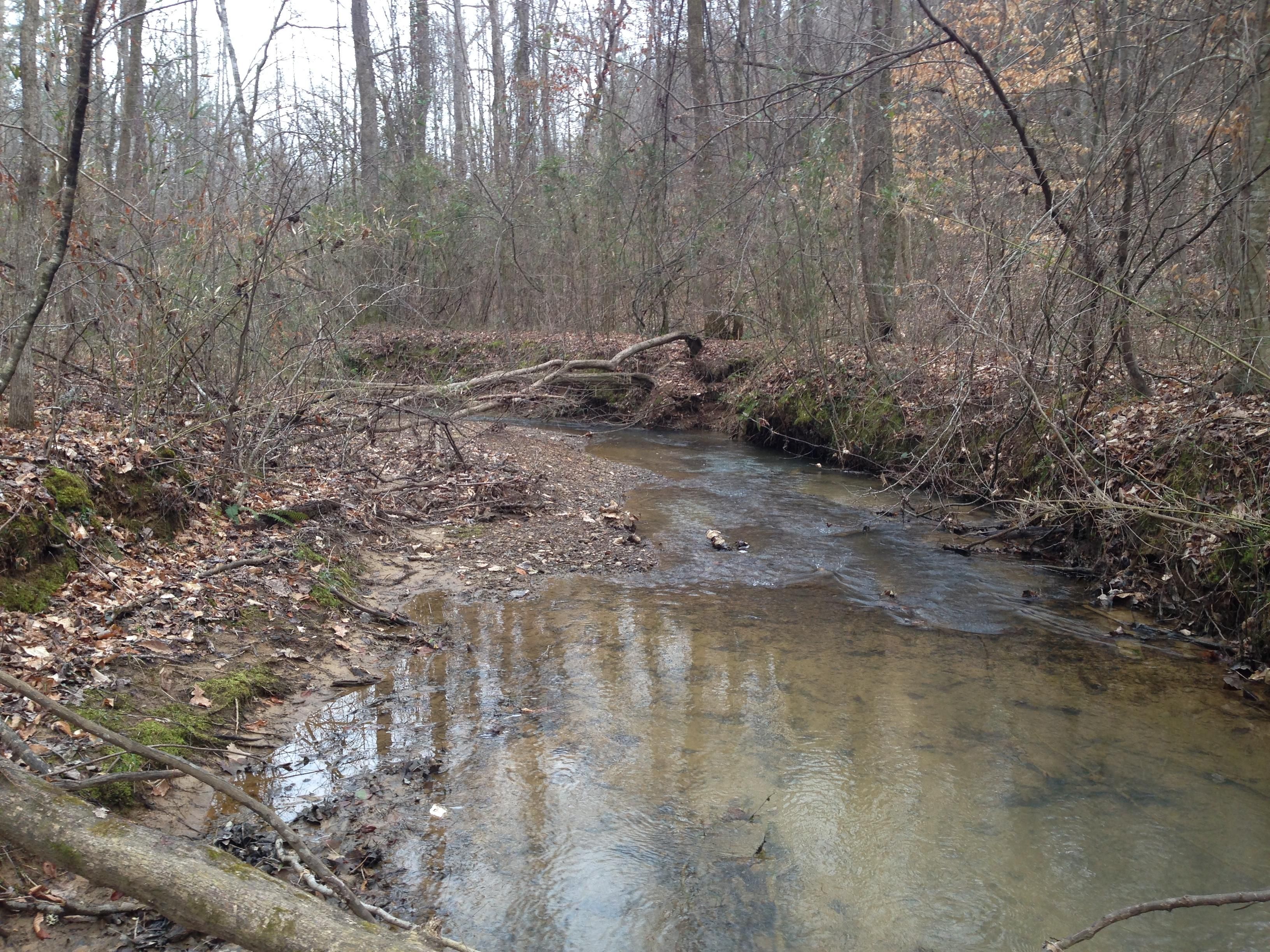 30 acres in Bibb County, Alabama