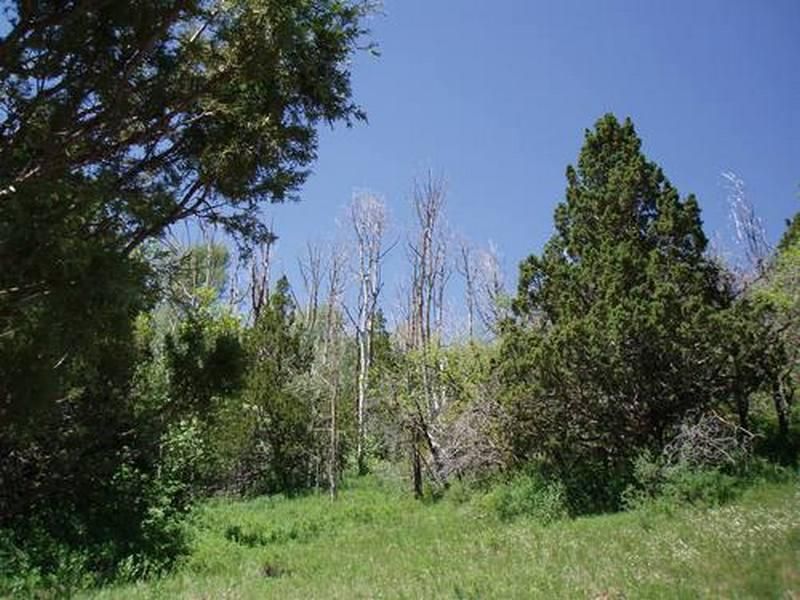 5 acres in Iron County, Utah