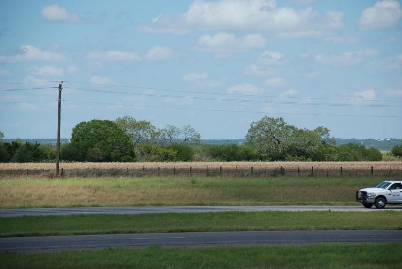 42 acres in Live Oak County, Texas