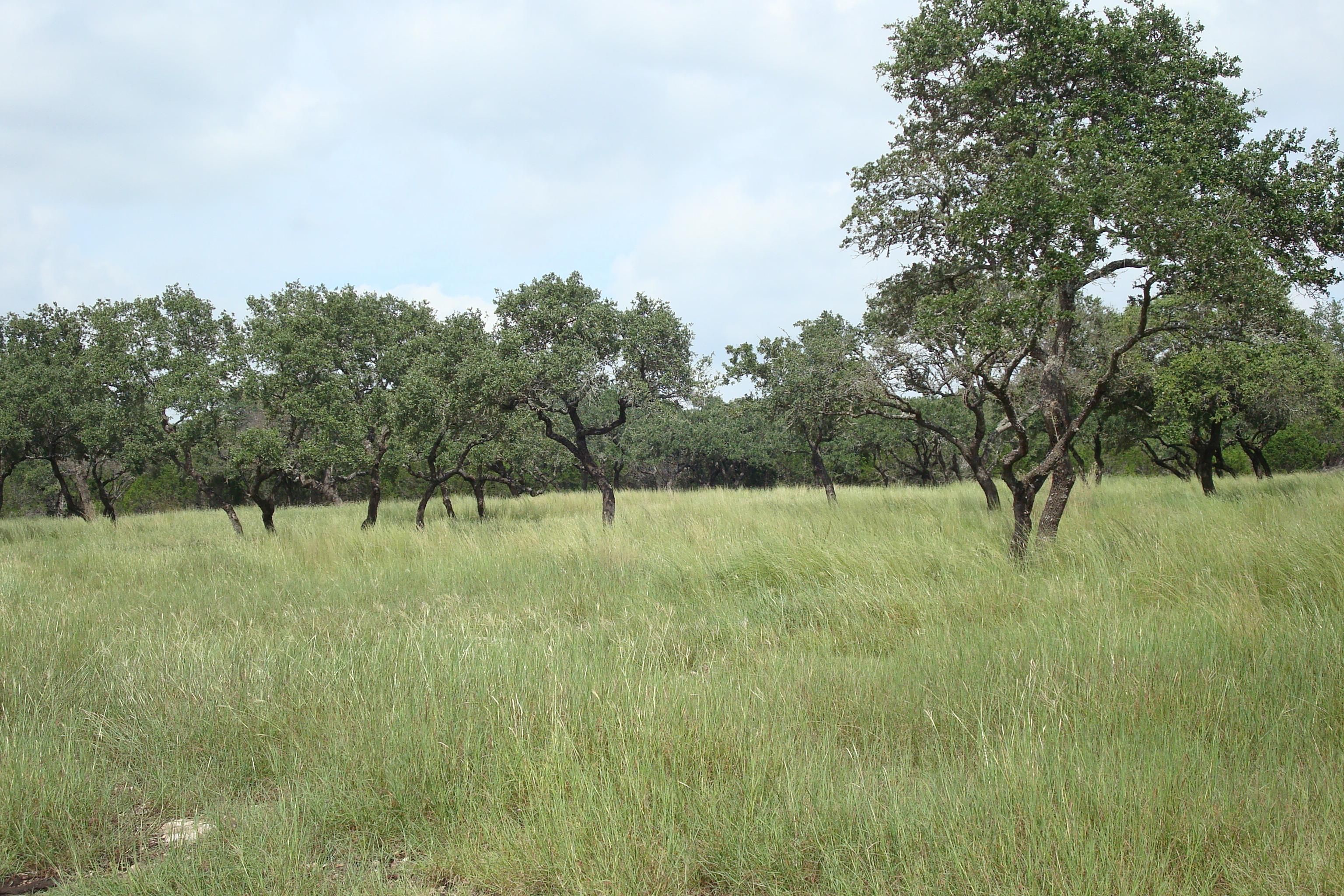 200 acres in Kerr County, Texas