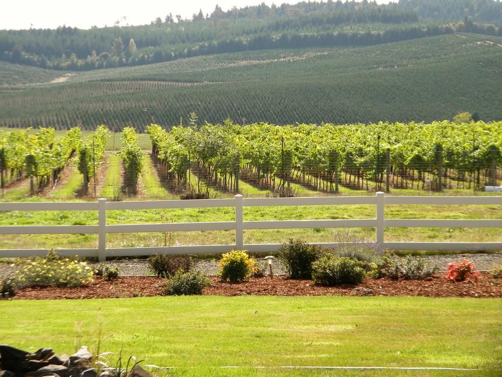 7 acres in Benton County, Oregon