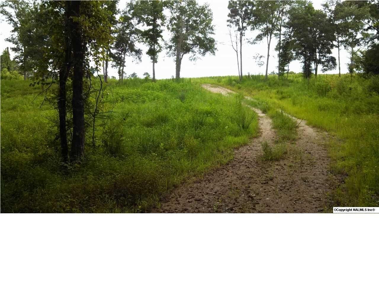 14 acres in Calhoun County, Alabama