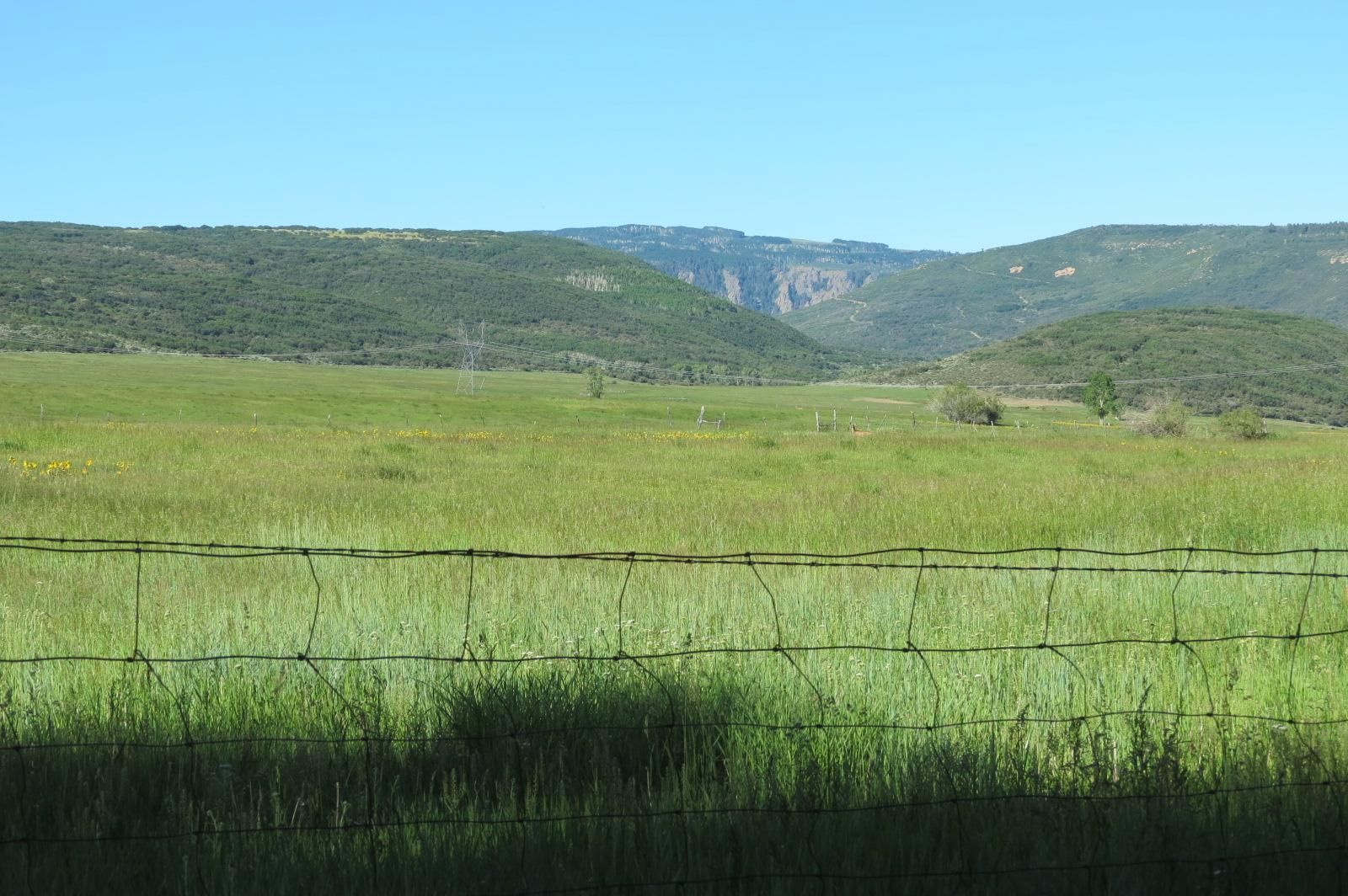 1,200 acres in Montrose County, Colorado