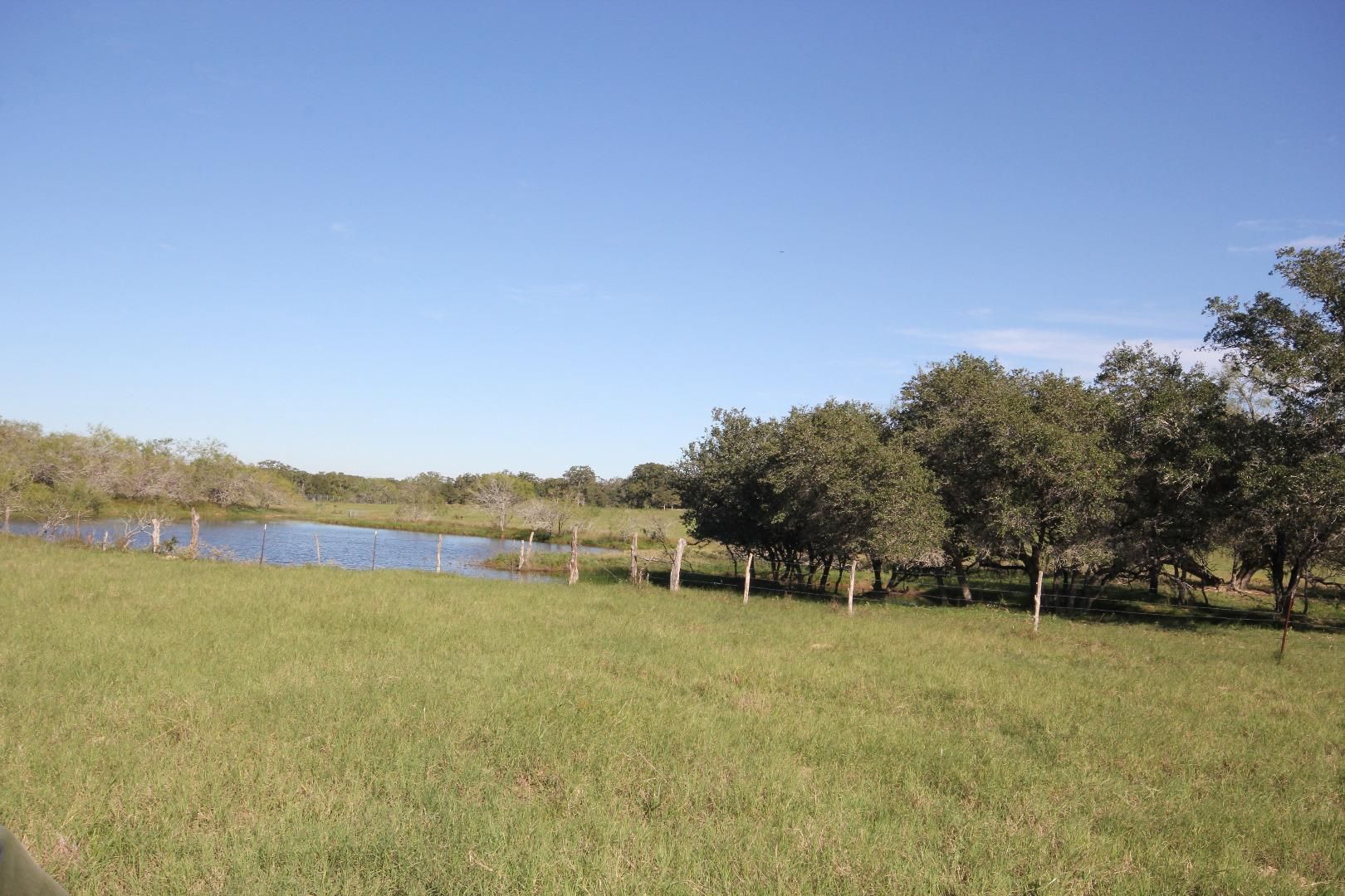 100 acres in Wilson County, Texas