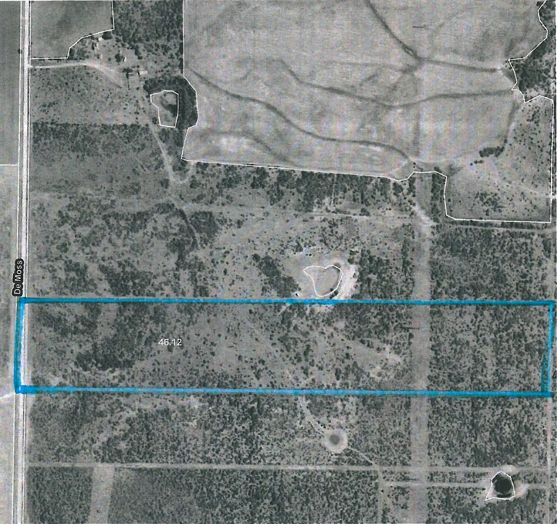 1811 Demoss Rd., Archer City, TX 76351