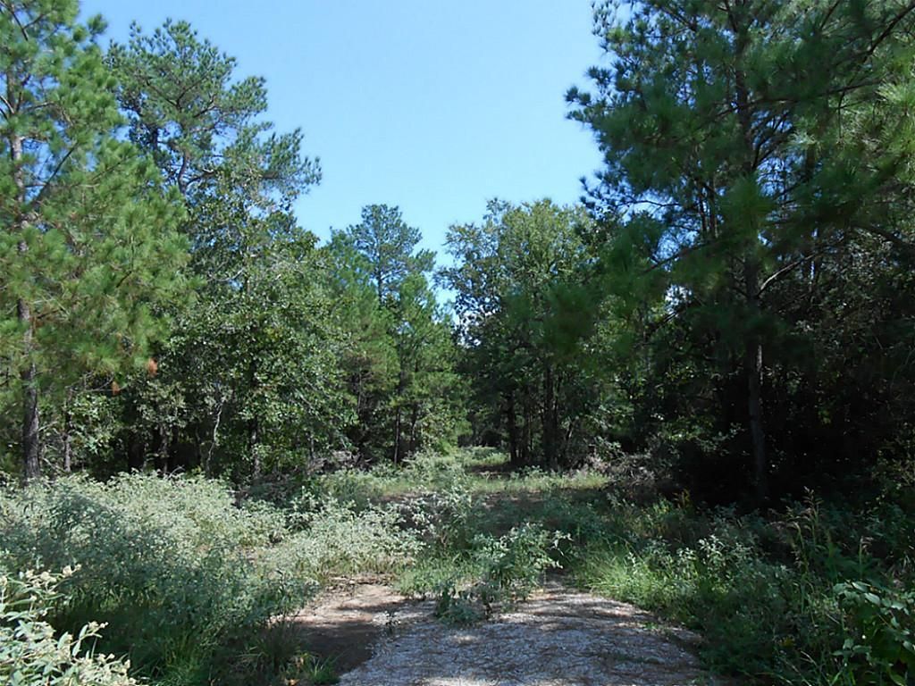 34.38 acres in Montgomery County, Texas