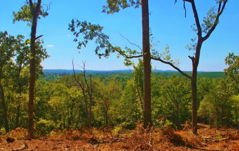 8 acres in Cherokee County, Texas