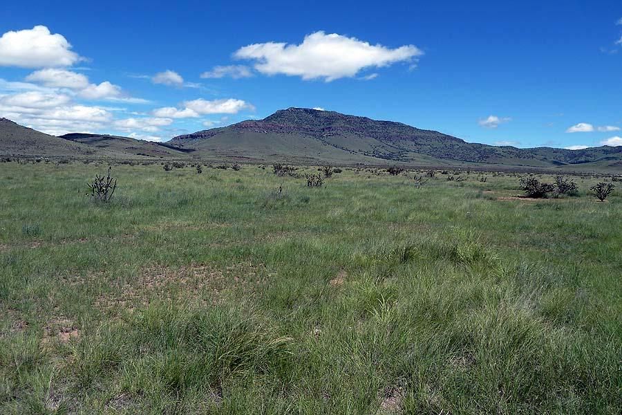 15 acres in Jeff Davis County, Texas